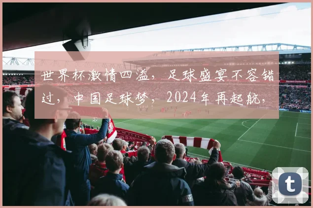 世界杯激情四溢，足球盛宴不容错过，中国足球梦，2024年再起航，激情燃
