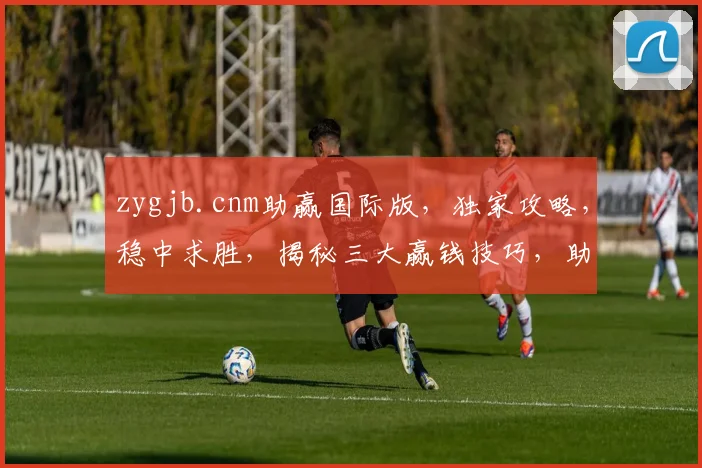 zygjb.cnm助赢国际版，独家攻略，稳中求胜，揭秘三大赢钱技巧，助你轻松盈利
