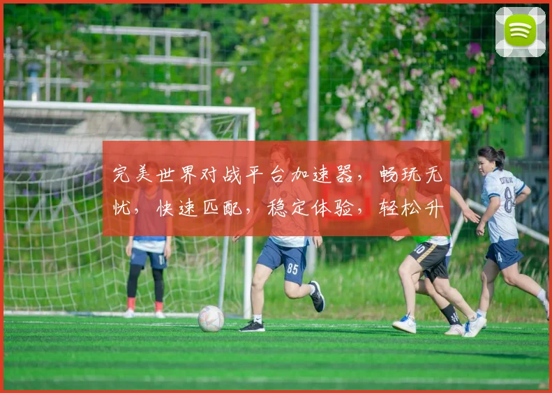 完美世界对战平台加速器，畅玩无忧，快速匹配，稳定体验，轻松升级，一触即达