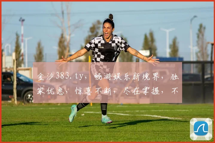 金沙383.ty，畅游娱乐新境界，独家优惠，惊喜不断，尽在掌握，不容错过